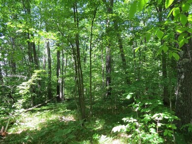 xxx Lily Lake Inn Rd, Webster, WI 54893 - photo 4