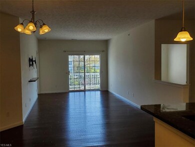 1014 Aqua Marine Blvd unit 52, Avon Lake, OH 44012 - photo 4