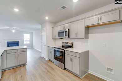 629 Clementine Run, Gilbert, SC 29054 - photo 7