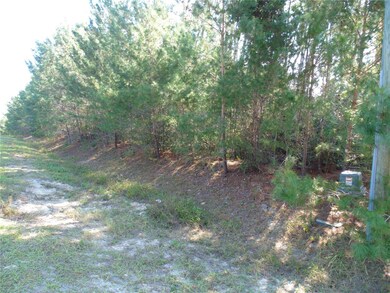0 SW 112 Place unit MFROM713502, Ocala, FL 34476 - photo 5