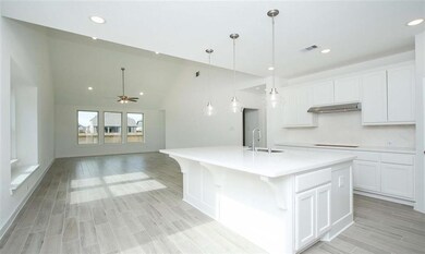 23730 Pullin Market Dr, Richmond, TX 77469 - photo 4