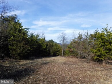 0 Jerome Rd, Mount Jackson, VA 22842 - photo 5