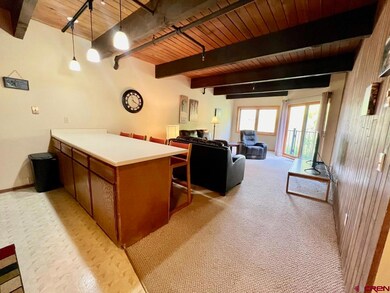 60 Hunter Hill Rd unit A204, Crested Butte, CO 81225 - photo 7