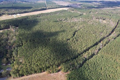 26 Acres-TBD Puncheon Creek Dr, Andrews, SC 29510 - photo 7