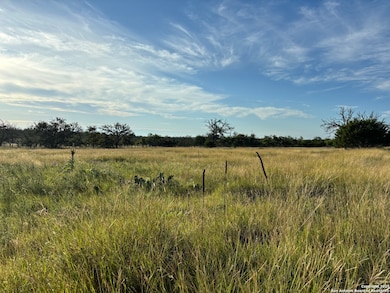 183 Lipan Loop, Harper, TX 78631 - photo 4