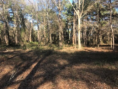 0000 Roberts Cemetery Rd, Hockley, TX 77447 - photo 2