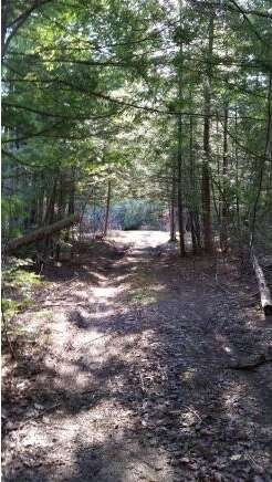 View across Souhegan River