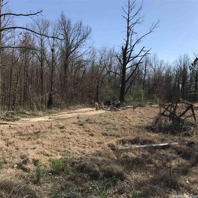 354 Greene 720 Rd, Paragould, AR 72450 - photo 2