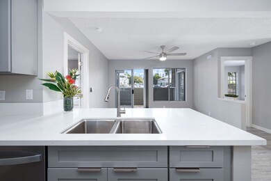 Newly-remodeled, open concept kitchen.