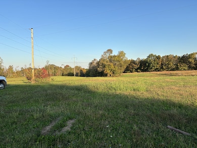 0 Hanestown Rd, Lafayette, TN 37083 - photo 3