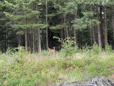 TBD, Asotin, WA 99402 - photo 3