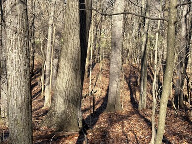 0 S 15th St, Niles, MI 49120 - photo 7