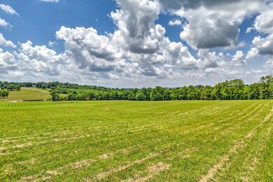 1484 Ben Green Rd, Lebanon, TN 37090 - photo 3