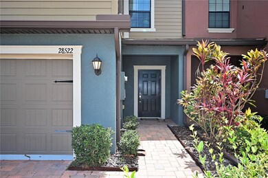 28522 Tranquil Lake Cir, Wesley Chapel, FL 33543 - photo 4