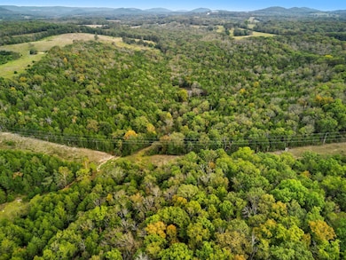 Tbd Tall Timbers Trail, Gainesville, MO 65655 - photo 7