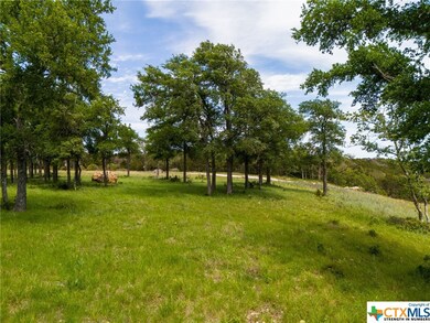 TBD Cottonwood Mesa Dr, Kempner, TX 76539 - photo 3