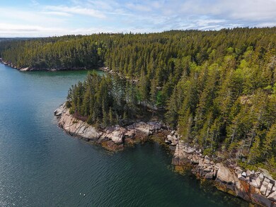 Scallop Cove-0652
