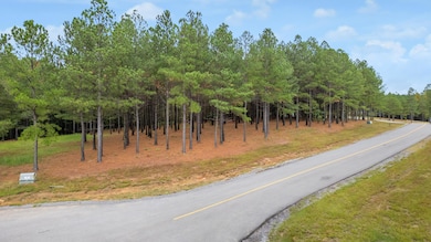 2024_09_September_Boone_Pass_Lot_196_000