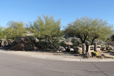 Mature Natural Vegetation In Front