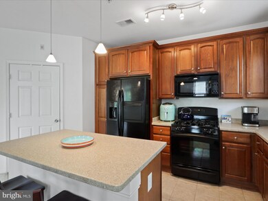 13154 Marcey Creek Rd unit 13154, Oak Hill, VA 20171 - photo 6