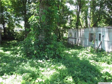 0 Cathedral Caverns Rd, Grant, AL 35747 - photo 2