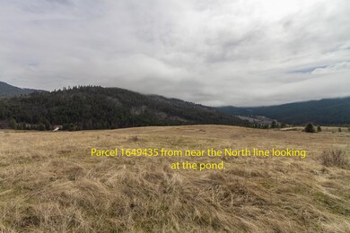 3600 BLK Beck Rd, Rice, WA 99167 - photo 2