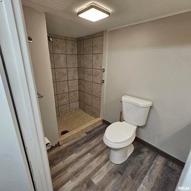 909 Saint Julian St unit 2, Pekin, IL 61554 - photo 4