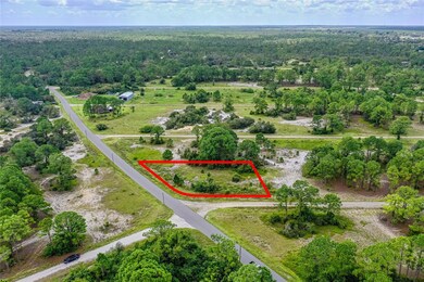 339 Tahiti Ave, Lake Placid, FL 33852 - photo 2