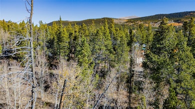 235 Willow Ln, Fairplay, CO 80440 - photo 4