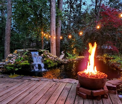 Backyard1