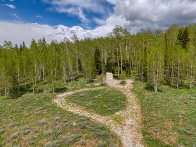 DJI_20250604143405_0025_D_hdr