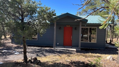 138 El Caso Rd, Quemado, NM 87829 - photo 2