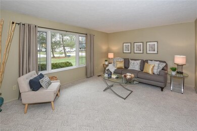 26288 Hickory Ln, Olmsted Falls, OH 44138 - photo 4