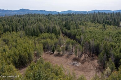 Drone 11