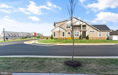 42847 Littlehales Terrace, Ashburn, VA 20148 - photo 7