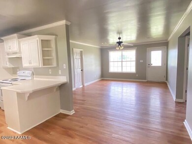 8155 White Oak Hwy, Branch, LA 70516 - photo 4