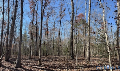 Lot 4 Diggstown Rd, Bumpass, VA 23024 - photo 3