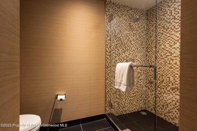 130 Wood Rd unit 504, Snowmass Village, CO 81615 - photo 7