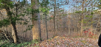 1328 Highway 310, Englewood, TN 37329 - photo 4