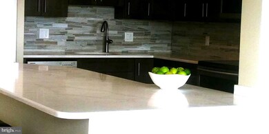 5501 Seminary Rd unit 2007S, Baileys Crossroads, VA 22041 - photo 6