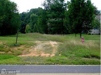 0 Eggbornsville Rd unit 1004090632, Rixeyville, VA 22737 - photo 3