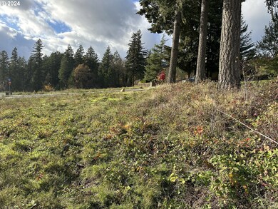 147 NE Bruce Heights unit 65, Stevenson, WA 98648 - photo 2