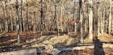 -- Kirkbridge Ln, Bella Vista, AR 72714 - photo 3