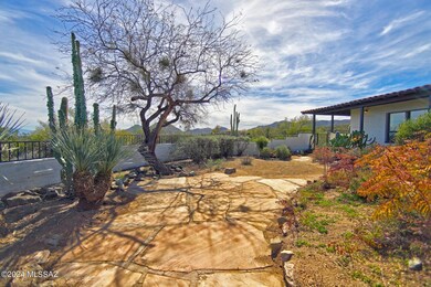 Backyard.Trails end