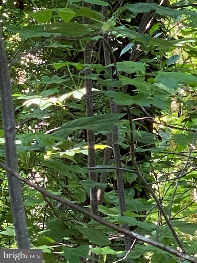 3665 Solomons Island Rd, Harwood, MD 20776 - photo 2