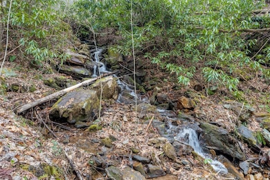 305 Buck Top Rd, Franklin, NC 28734 - photo 5