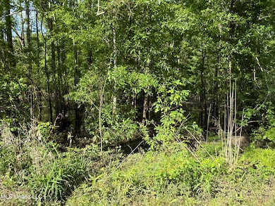 Nhn Maple Dr, Lucedale, MS 39452 - photo 2