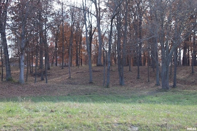 000 Birdie Dr, Mount Vernon, IL 62864 - photo 2