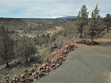 11501Yucca7