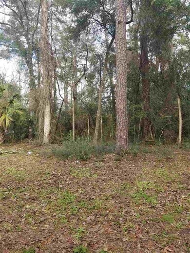 00 Marsue Dr, Crawfordville, FL 32327 - photo 3